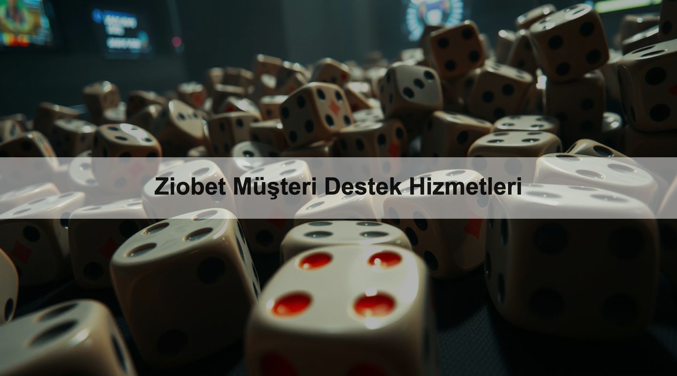 Ziobet Müşteri Destek Hizmetleri 1 Ziobet Müşteri Destek Hizmetleri